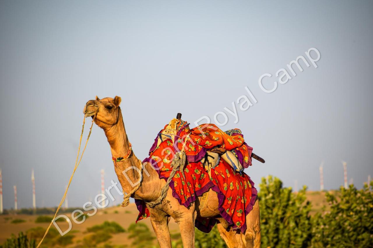 Desert Dream Royal Camp Hotel Dzsaiszalmer Kültér fotó